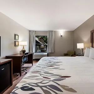 ** Motel Red Roof Newport News - United States